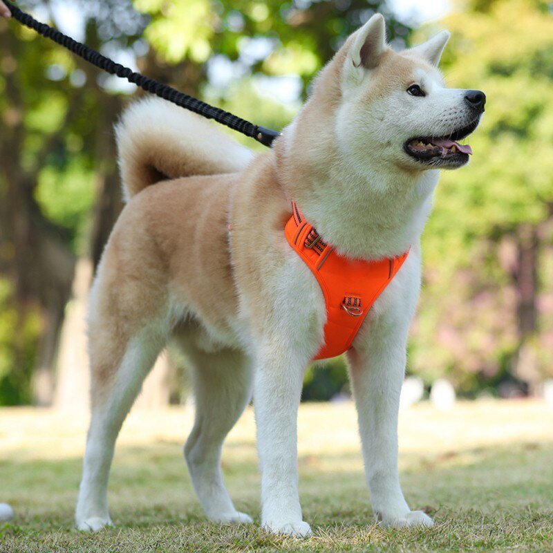Dog Soft Adjustable Harness Pet Large Dog Walk Out Harness Vest Collar Hand Strap for Small Medium Large Dogs